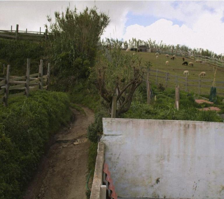 Um Quarto Da Casa Do Monte Vila Franca do Campo Dış mekan fotoğraf