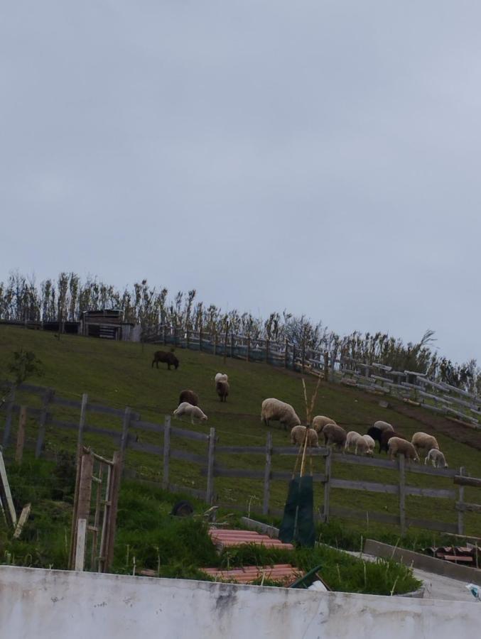 Um Quarto Da Casa Do Monte Vila Franca do Campo Dış mekan fotoğraf