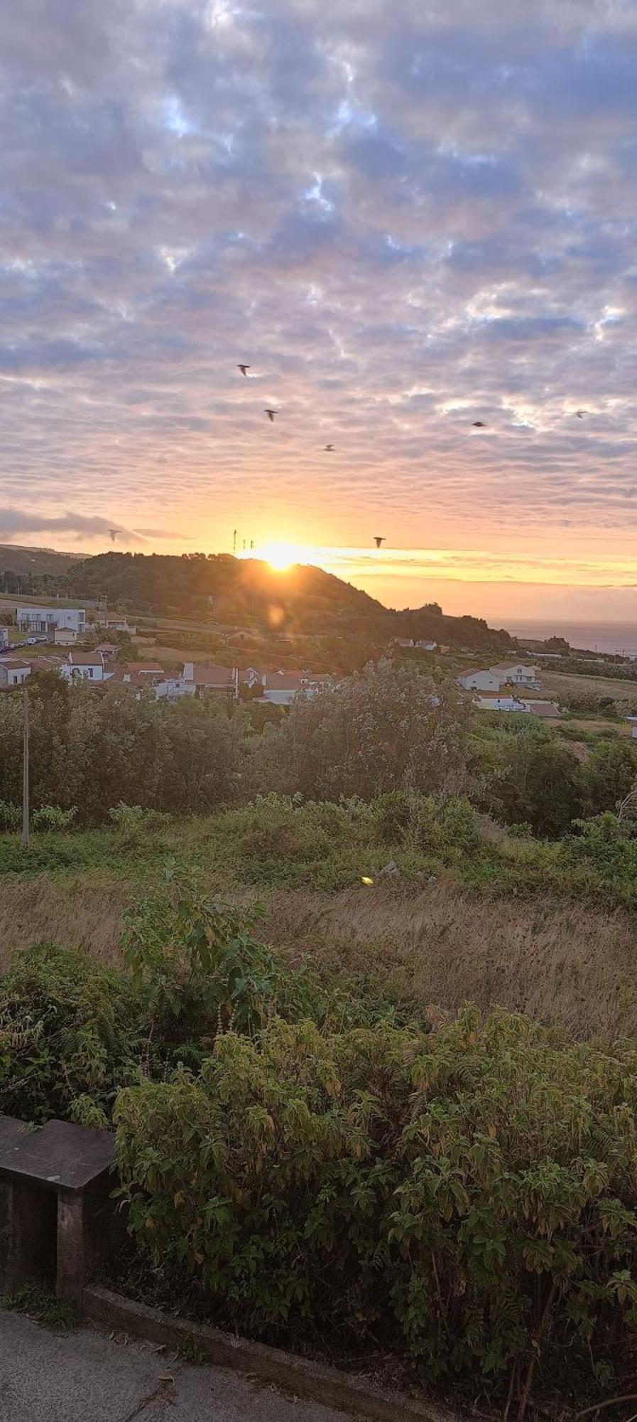 Um Quarto Da Casa Do Monte Vila Franca do Campo Dış mekan fotoğraf